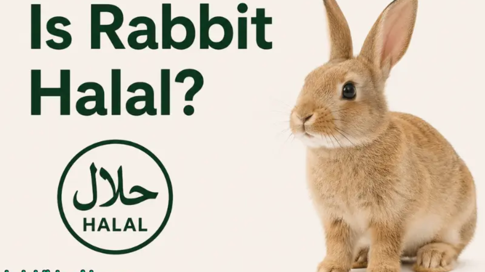 Is Rabbit Halal