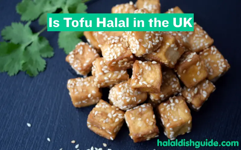 Is Tofu Halal in the UK