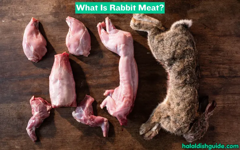 What Is Rabbit Meat