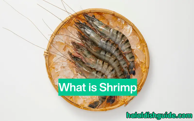 What is Shrimp