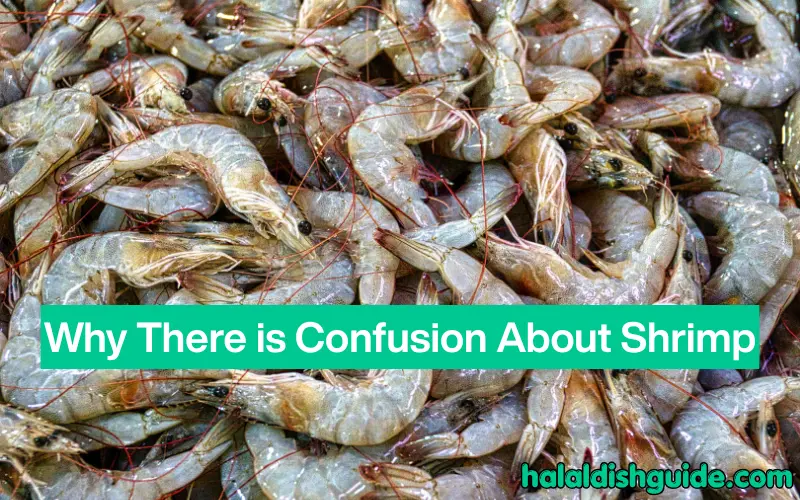 Why There is Confusion About Shrimp