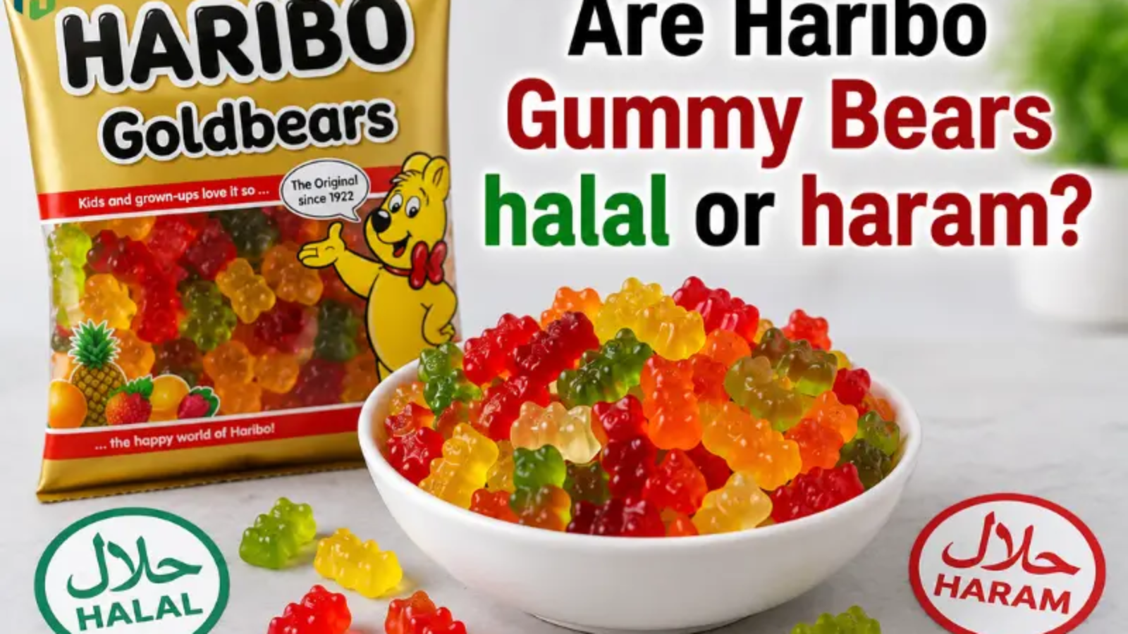 Are Haribo Gummy Bears Halal or Haram