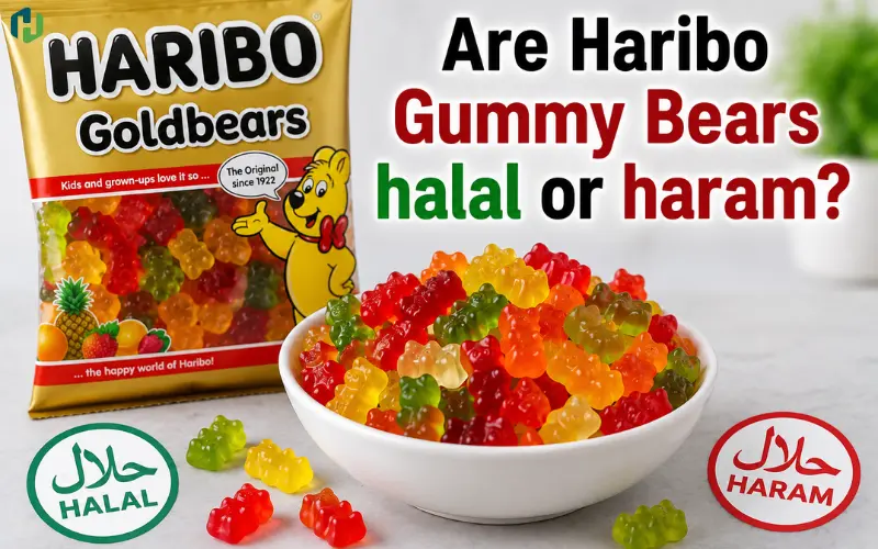 Are Haribo Gummy Bears Halal or Haram