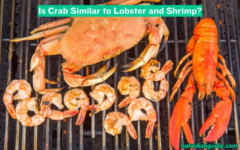 Is Crab Similar to Lobster and Shrimp