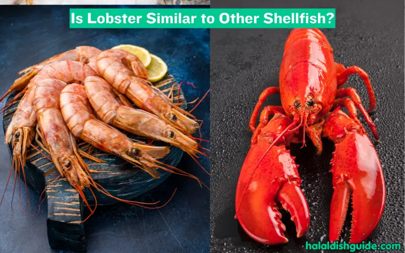 Is Lobster Similar to Other Shellfish
