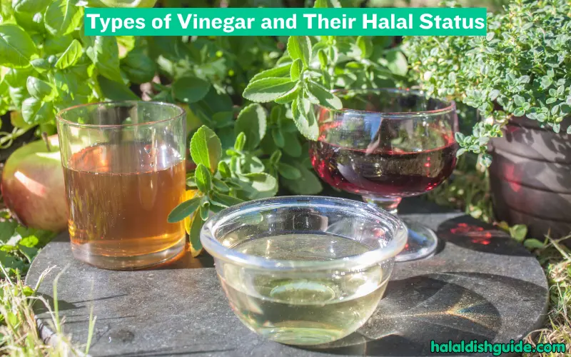 Types of Vinegar and Their Halal Status