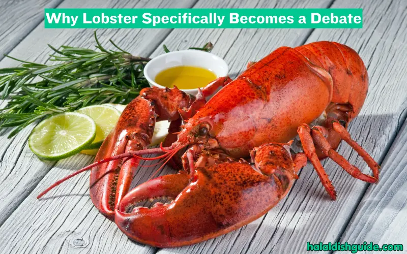 Why Lobster Specifically Becomes a Debate