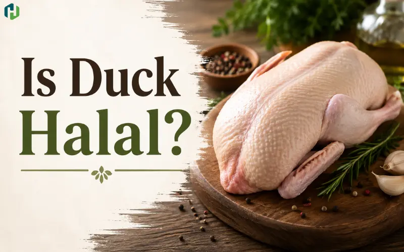 is duck halal